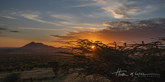 A New Day in the Serengeti