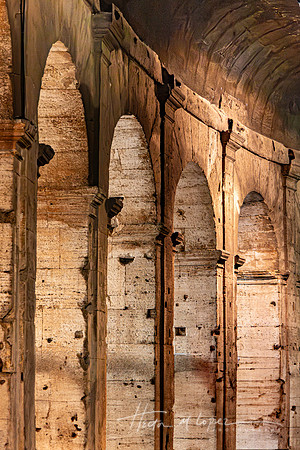 Colosseum Arches