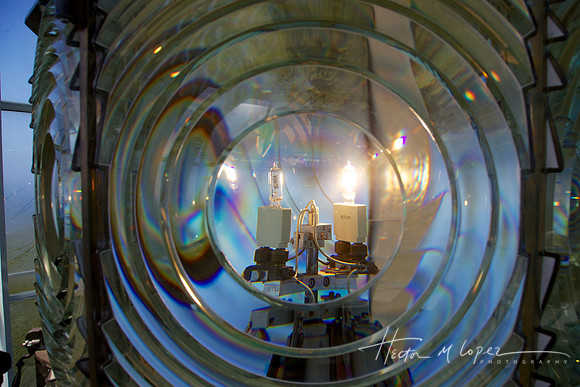 The Light
