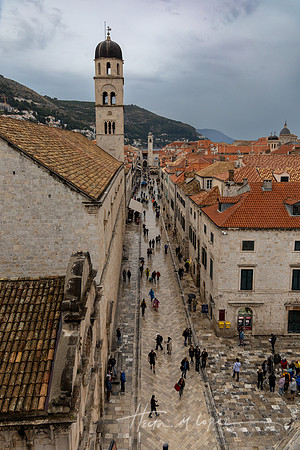 20251016-IMG_1003