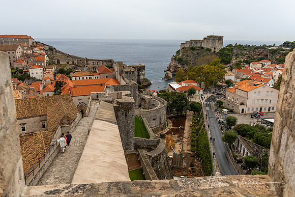 20251016-IMG_0987