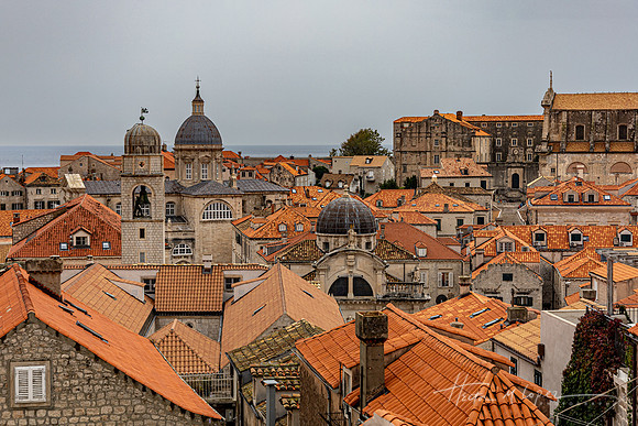 20251016-IMG_0930