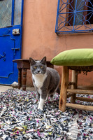 20260228-IMG_2374
