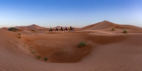 20260304-IMG_3709-Pano