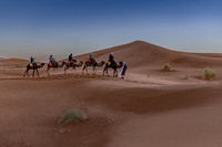 20260304-IMG_3711