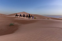 20260304-IMG_3713