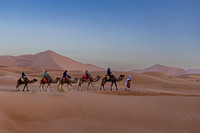 20260304-IMG_3705