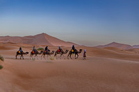 20260304-IMG_3704