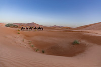 20260304-IMG_3703
