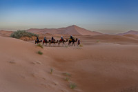 20260304-IMG_3701