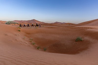20260304-IMG_3702