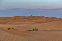 20260304-IMG_3687