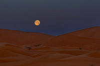 20260304-IMG_3683