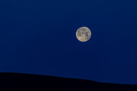 20260304-IMG_3679
