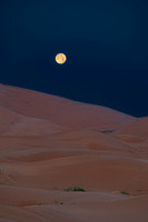20260304-IMG_3674