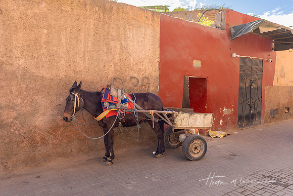 20260225-IMG_1702