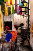 20260224-IMG_1365