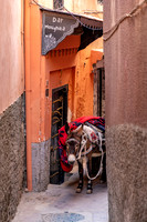 20260224-IMG_1279