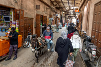 20260226-IMG_1988