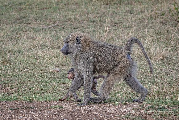Walking with Mom
