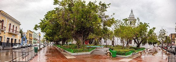 Ponce-4