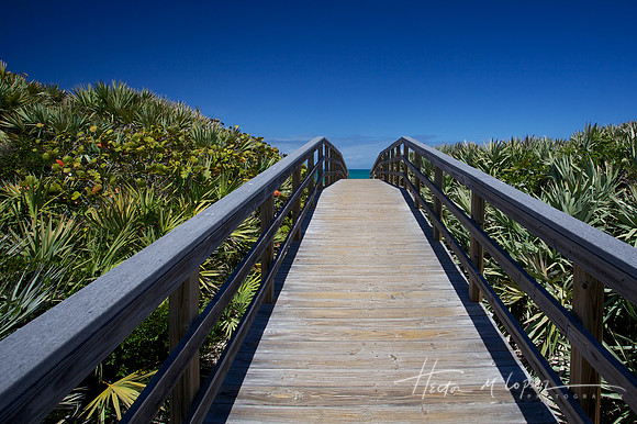 To The Beach!