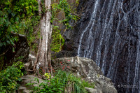 Elyunque-10