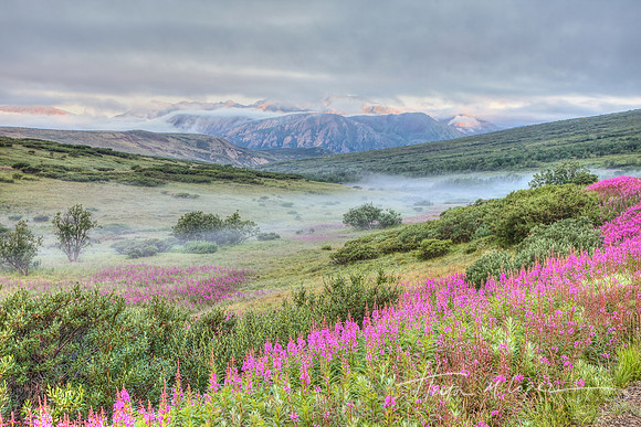 Denali summer