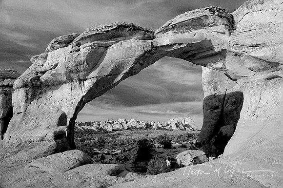 Window Arches NP BW
