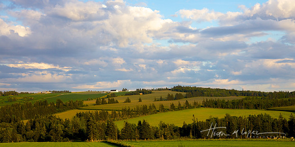 Bucolic PEI