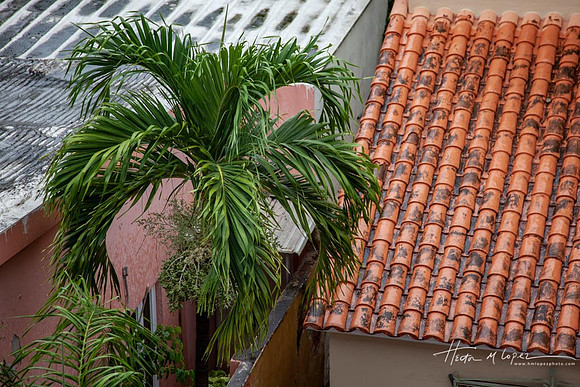Ponce-5