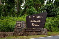 Elyunque-7