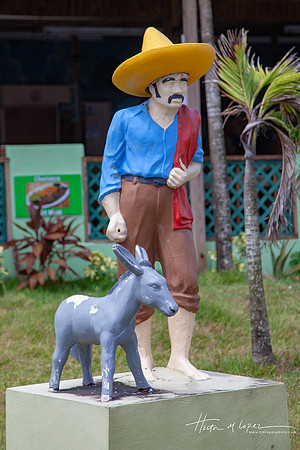 Elyunque-5