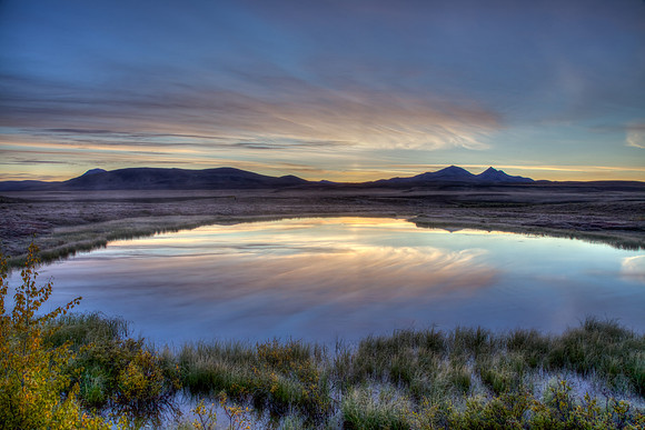Along the Dempster
