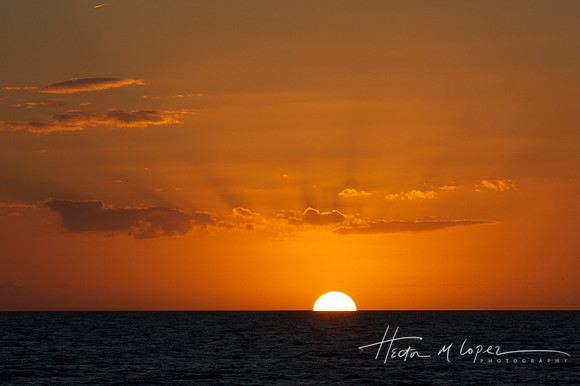 Florida Bay Half Sun