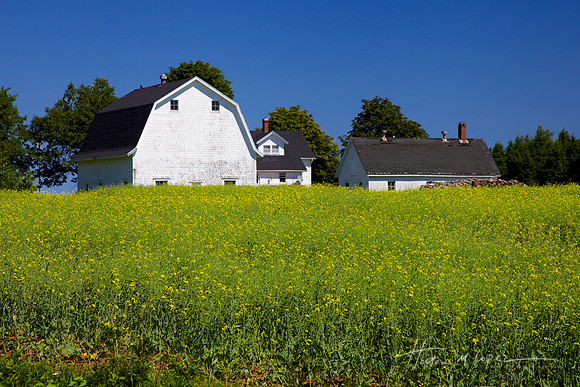 Prince Edward Island Farmhouse