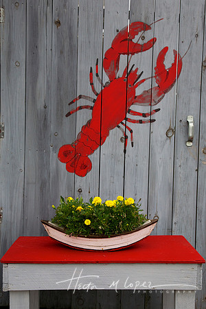 Lobster Art