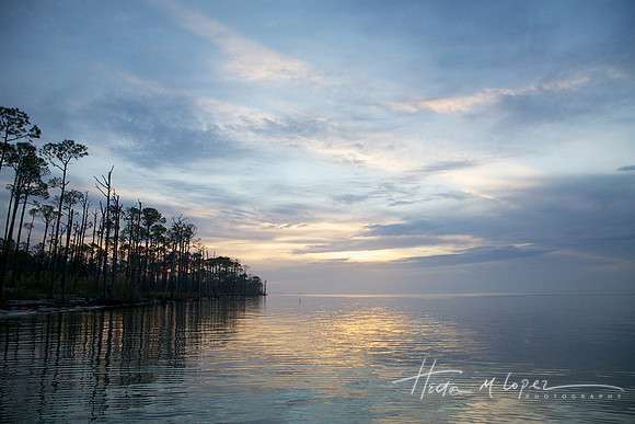 Appalachicola Bay