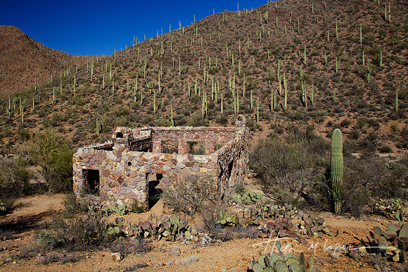 Ruins, Saguaro National Park