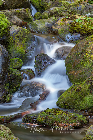 Olympic Cascade