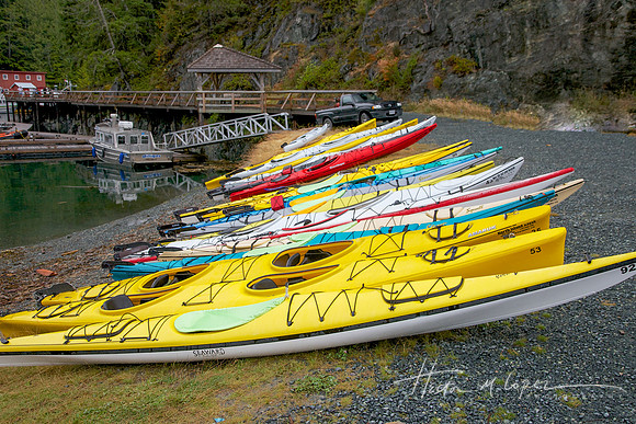 Kayaks, Telegraph Cove BC