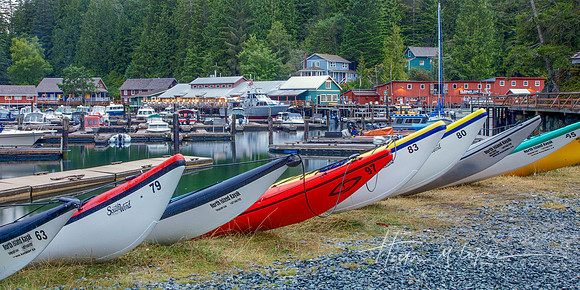 Telegraph Cove Kayak Fleet