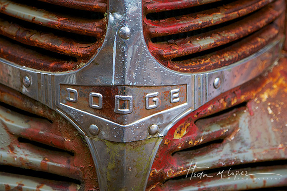 Dodge