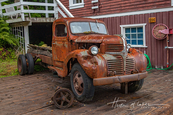 Wet Dodge