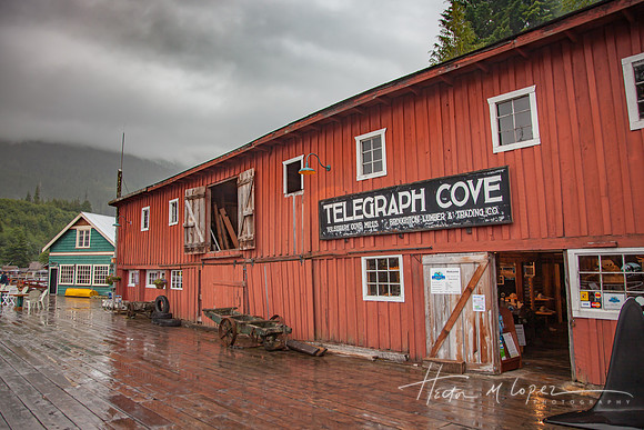 Telegraph Cove Rain