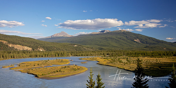 Jasper Vista