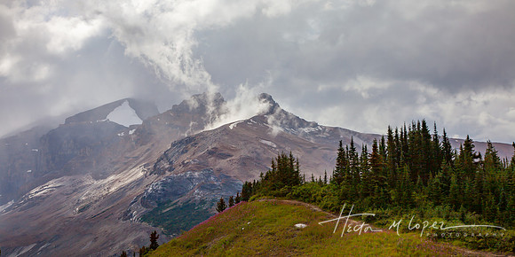 Icefields Parkway View