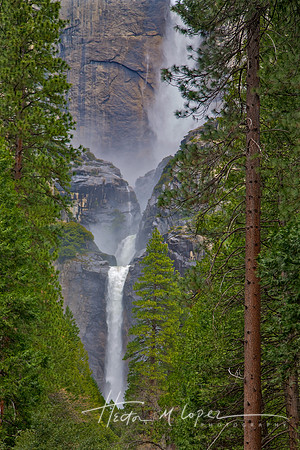 Lower Yosemite Falls