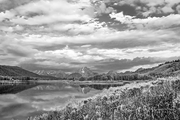 Morning Light at Oxbow Bend BW_