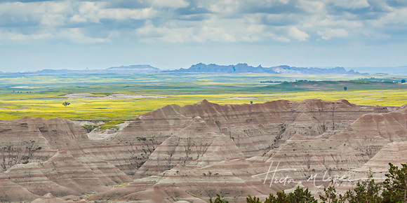 Where the Buffalo Once Roamed
